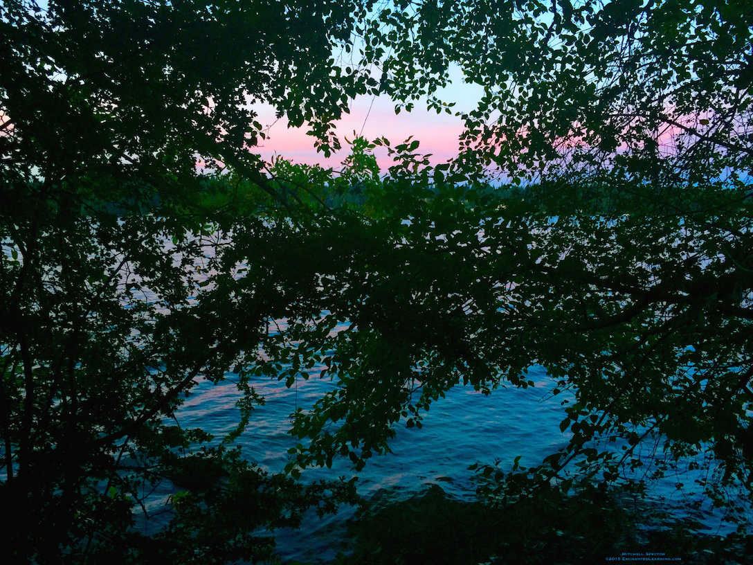 Lake and Pink Sky