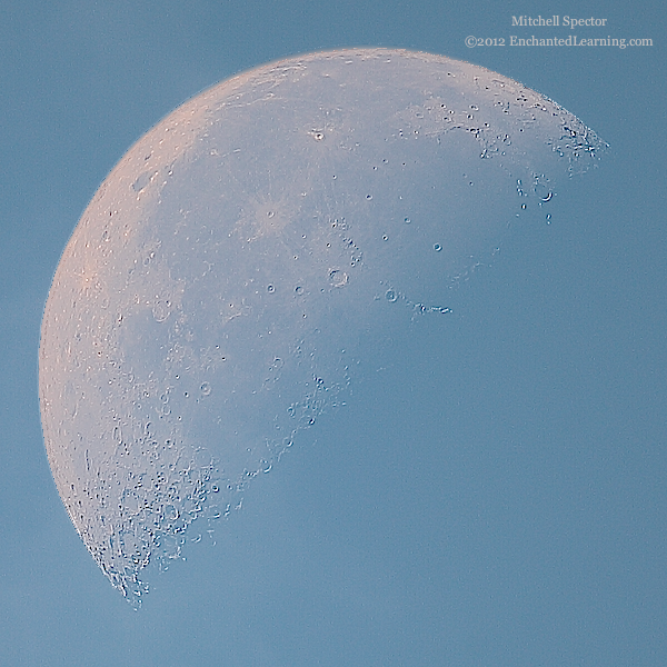 Last-Quarter Moon in the Daylight