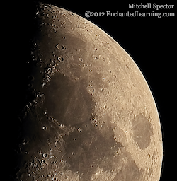 Close-up of Top Half of First-Quarter Moon