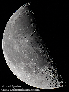 Last Quarter Moon in the Night Sky