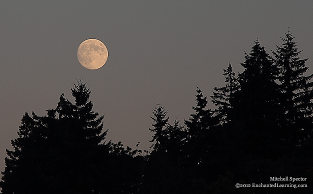 Moon Rising, Nearly Full