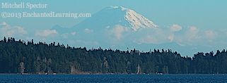 Mt. Rainier on a Clear Winter Day