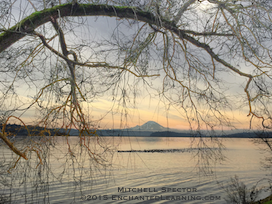 Mt. Rainier on a Soft Winter Day in Seattle