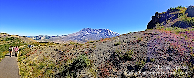 Walking Toward Mount St. Helens