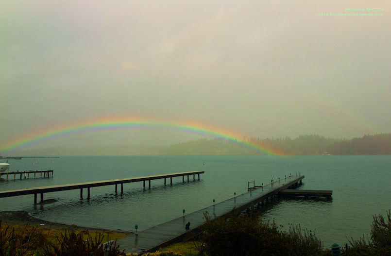 Rainbow in the Mist