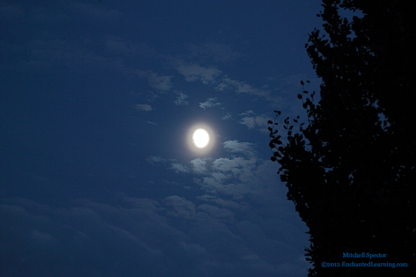 Gibbous Moon Rising