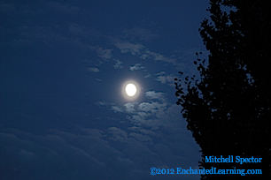 Gibbous Moon Rising