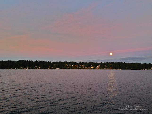 Harvest Moon Rising at Sunset