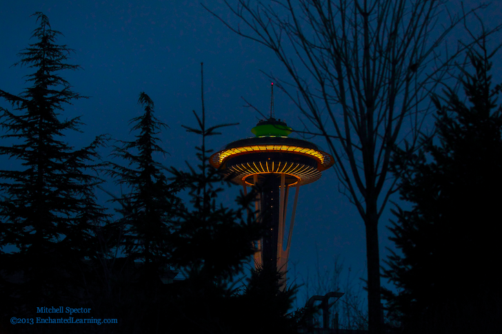 Space Needle through the Trees