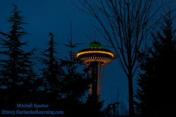 Space Needle through the Trees