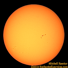 Growing Sunspots: Active Region 1560