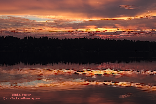 Sunrise Reflected in Lake Washington, 5 of 6