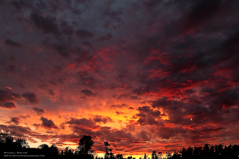 Sunset over Luther Burbank Park