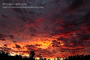 Sunset over Luther Burbank Park