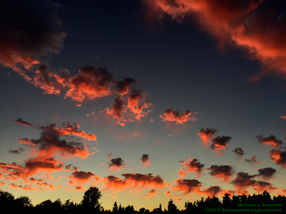 Pink Sunset from Mercer Island