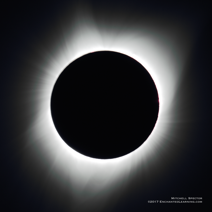 The Sun's Corona During a Total Solar Eclipse