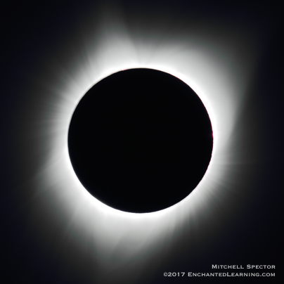 The Sun's Corona During a Total Solar Eclipse