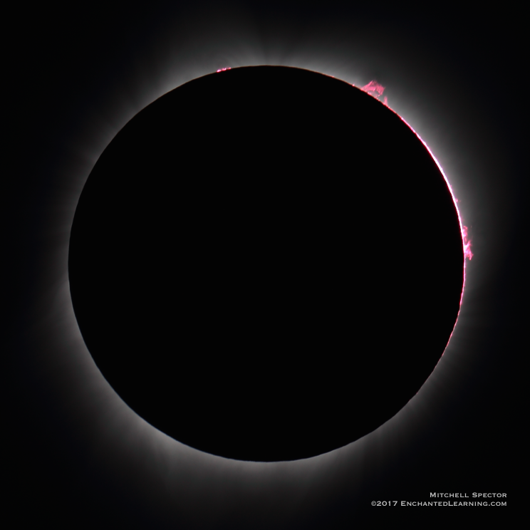 Solar Prominences During a Total Solar Eclipse