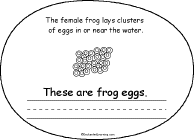 Search result: 'Life Cycle of a Frog Book, A Printable Book: Eggs'
