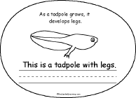Search result: 'Life Cycle of a Frog Book, A Printable Book: Tadpole with Legs'
