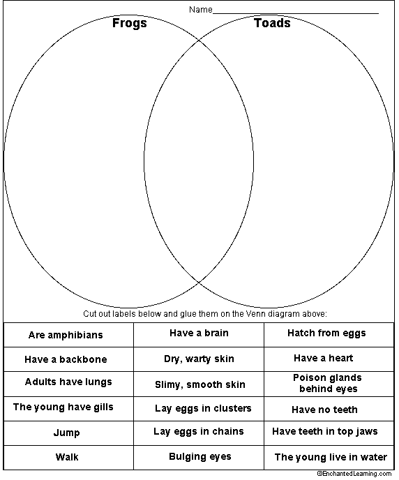 Search result: 'Frogs and Toads Venn Diagram Printout'