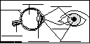 eye anatomy