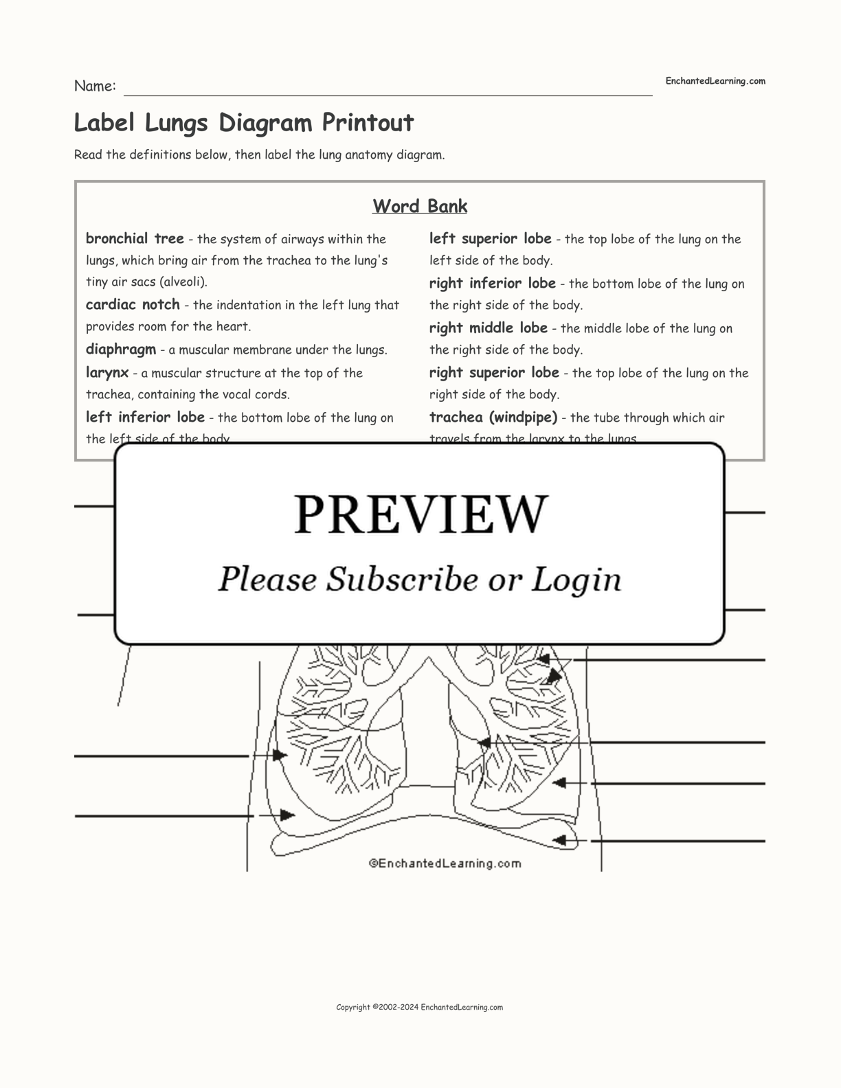 Label Lungs Diagram Printout interactive worksheet page 1