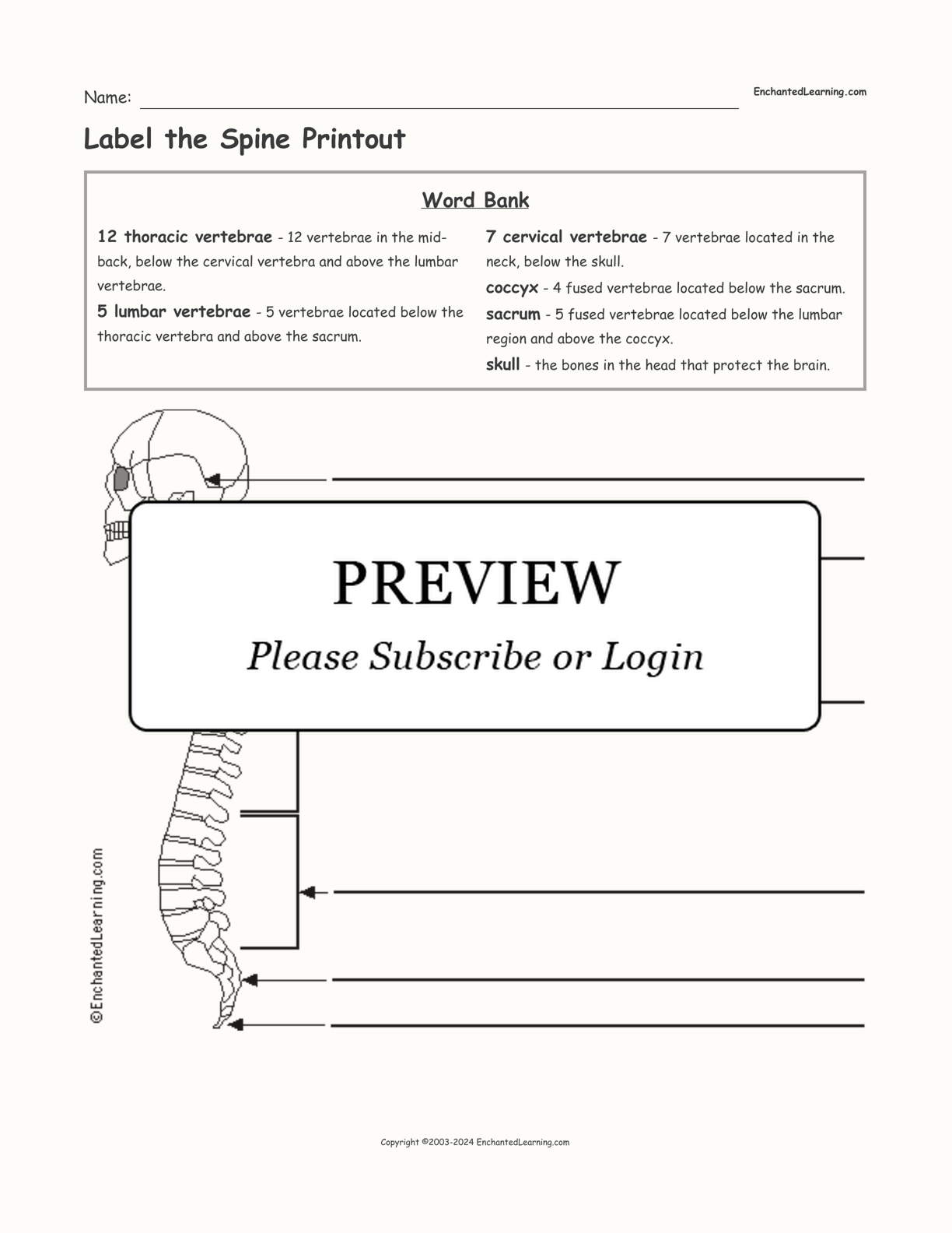 Label the Spine Printout interactive worksheet page 1