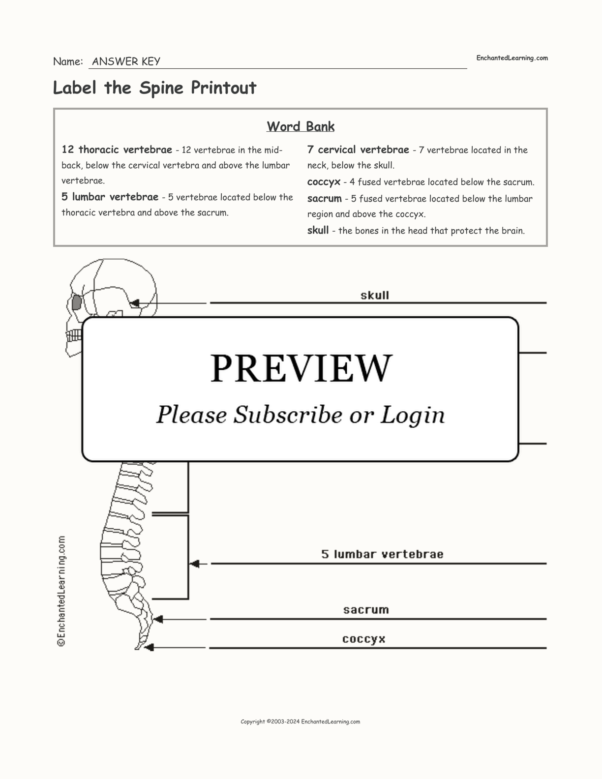 Label the Spine Printout interactive worksheet page 2