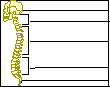 Search result: 'Label the Spine Printout'