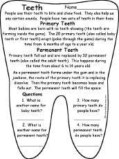 Teeth