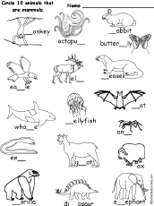 Search result: 'Fill in the Missing Letters and Circle 10 Mammals'