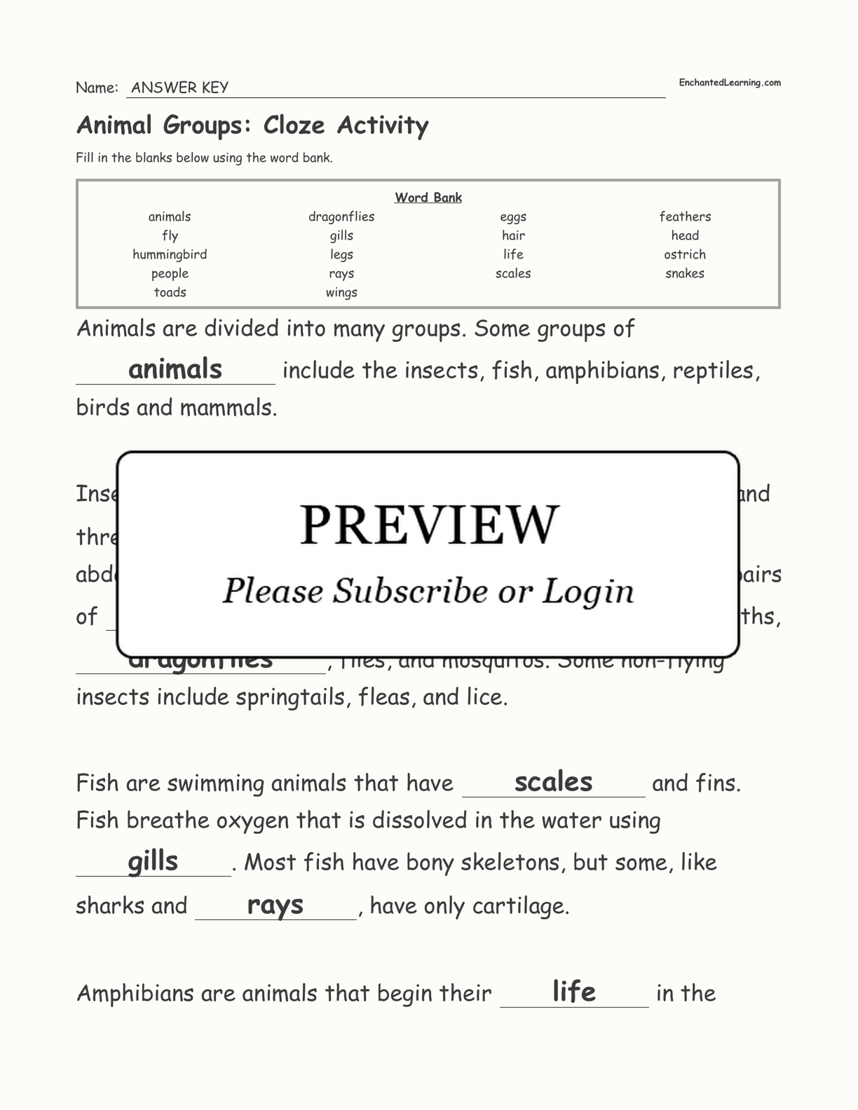 Animal Groups: Cloze Activity interactive worksheet page 3