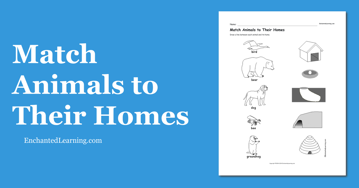 Match Animals to Their Homes - Enchanted Learning