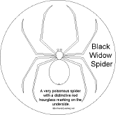 Search result: 'Spider Shape Book: Black Widow'