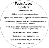 Search result: 'Spider Shape Book: Facts'