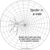 Search result: 'Spider Shape Book: Spider in Web'