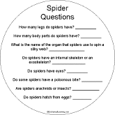 Search result: 'Spider Shape Book: Spider Questions'