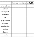 Plant and Animal Cells Chart