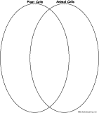 Plant and Animal Cells Venn Diagram