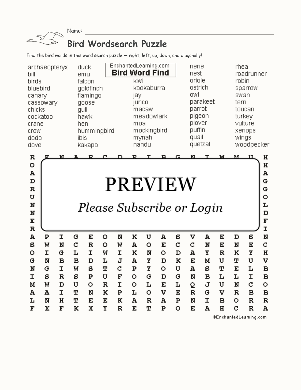 Bird Wordsearch Puzzle interactive worksheet page 1