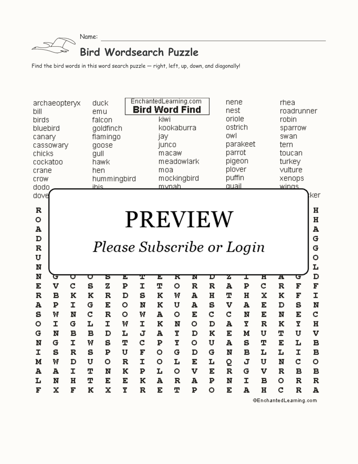 Bird Wordsearch Puzzle interactive worksheet page 1