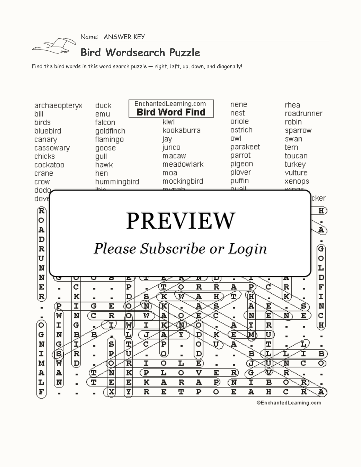 Bird Wordsearch Puzzle interactive worksheet page 2