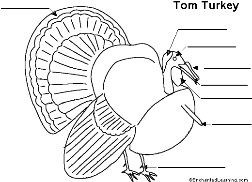 turkey to label