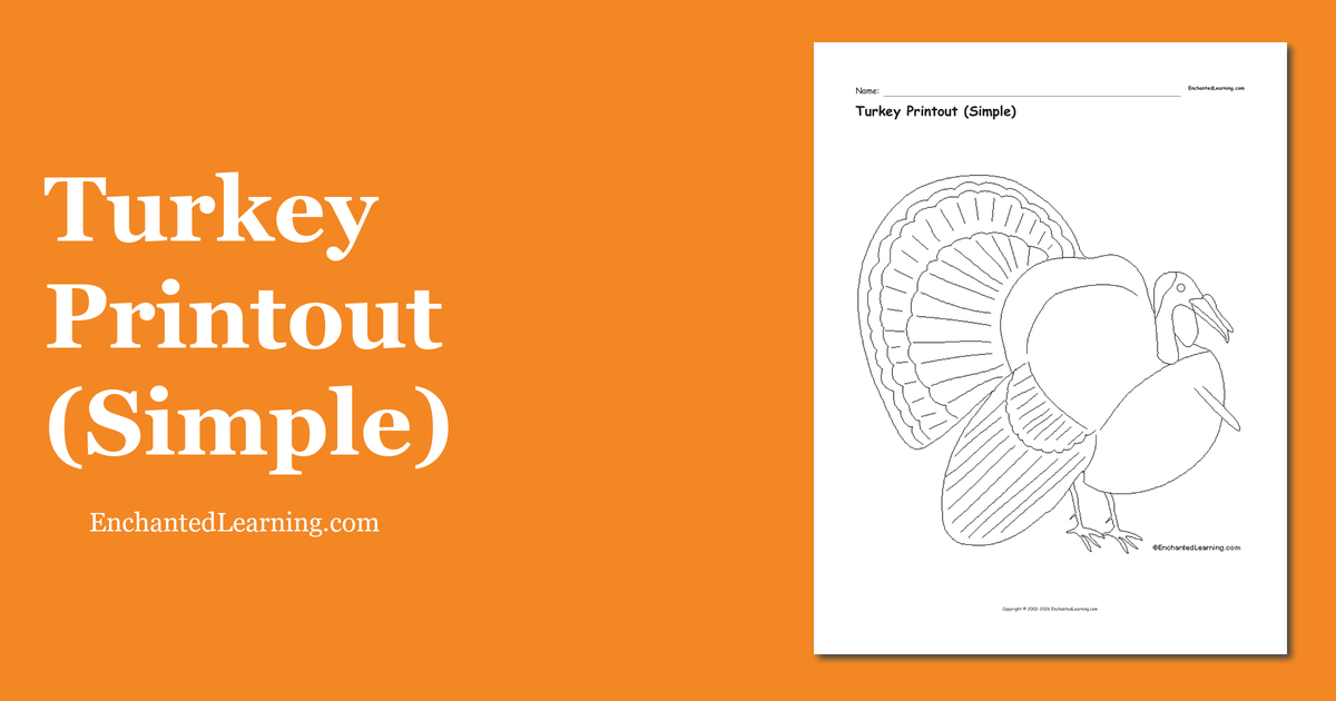 Turkey Printout Simple Enchanted Learning