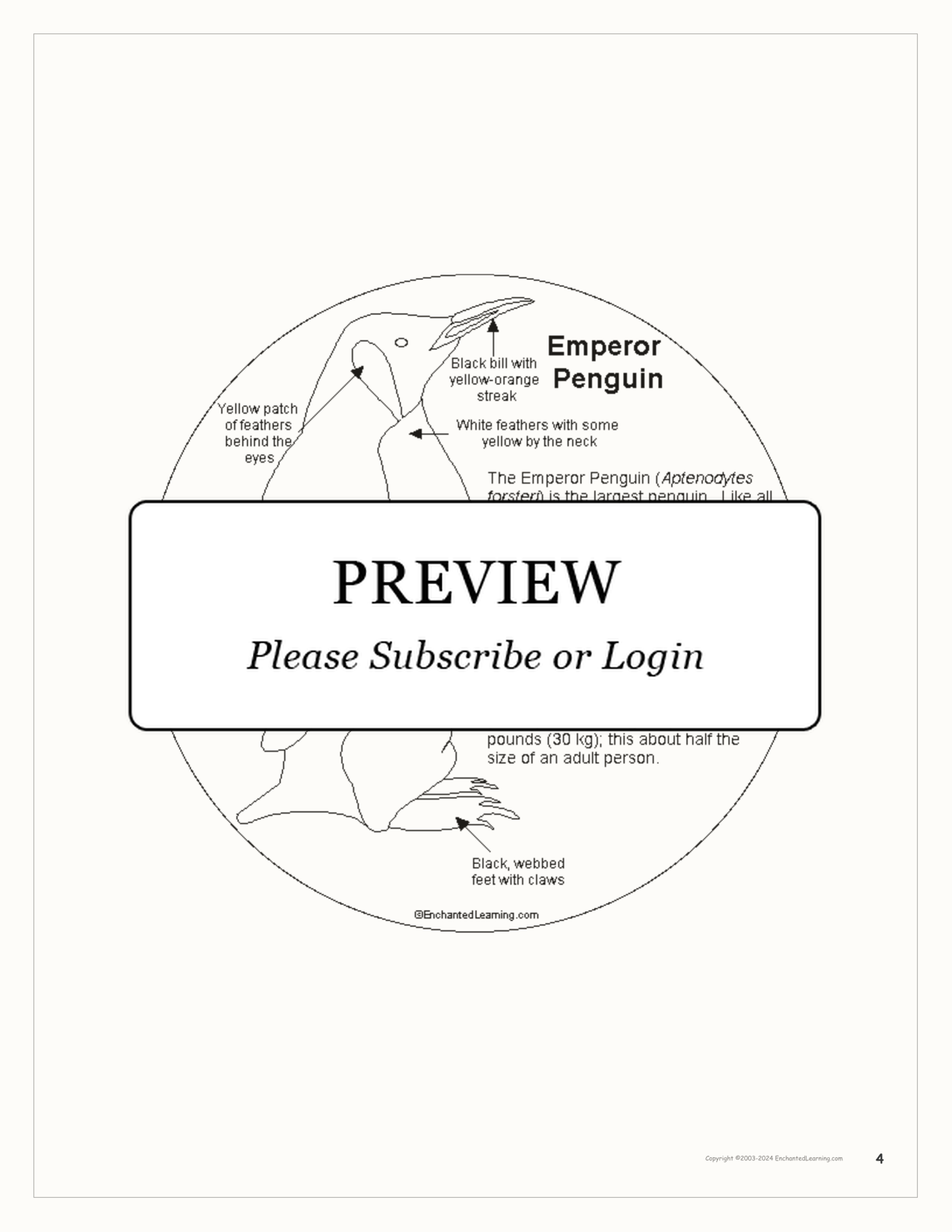 Penguin Shape Book Printouts interactive worksheet page 4
