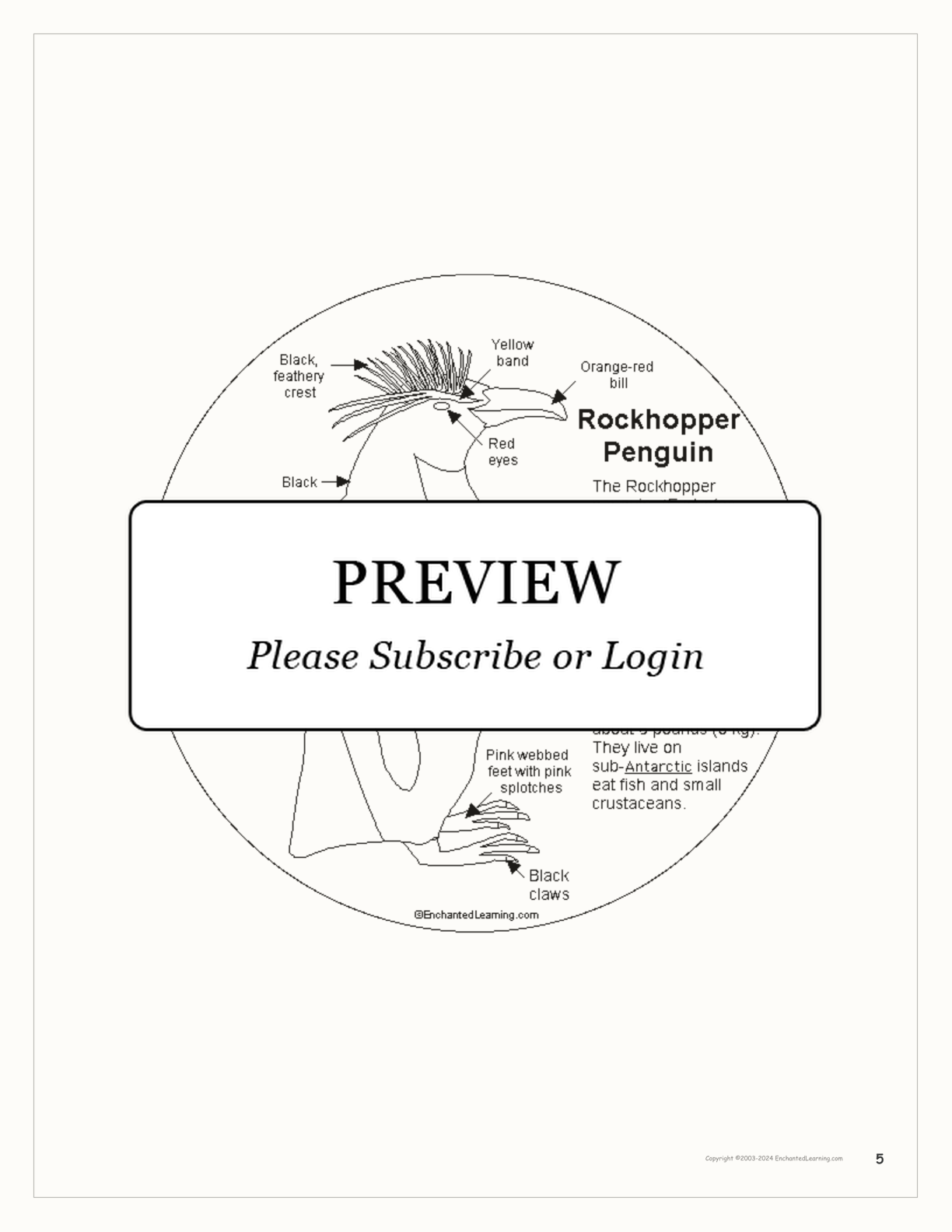 Penguin Shape Book Printouts interactive worksheet page 5
