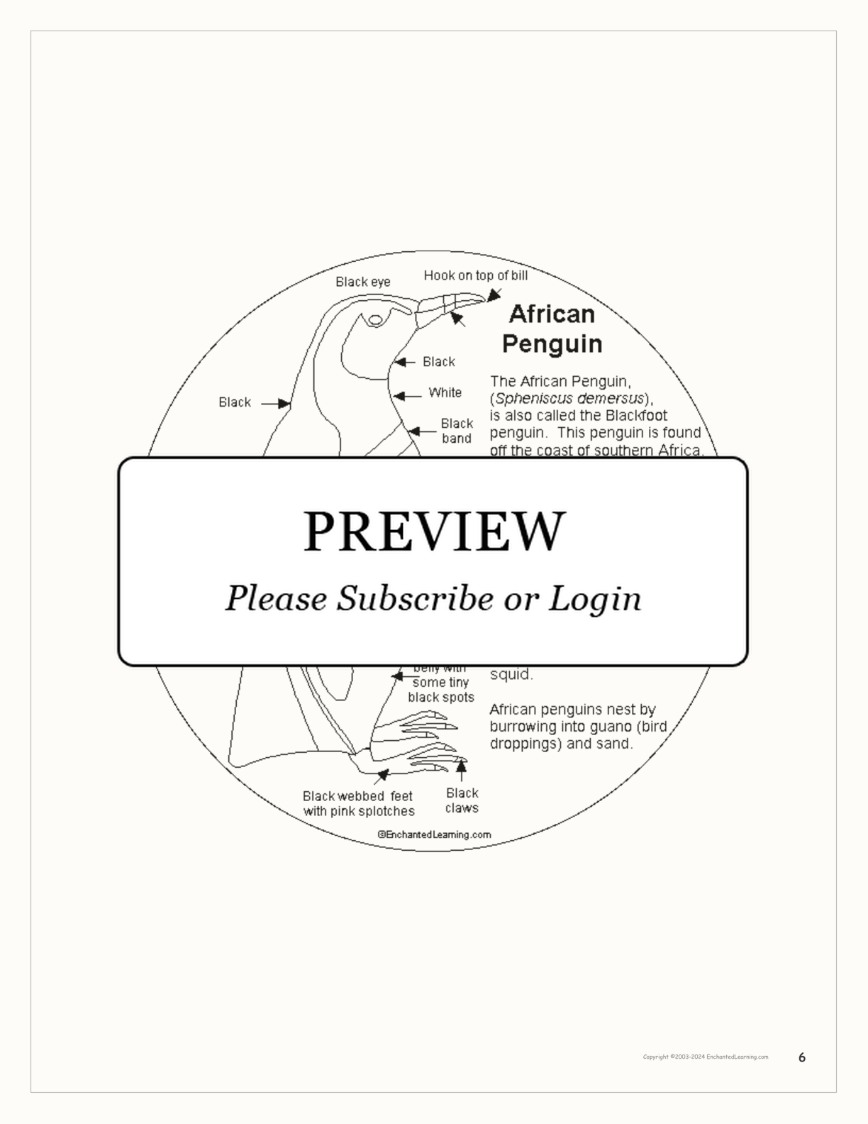 Penguin Shape Book Printouts interactive worksheet page 6