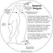 Search result: 'Penguin Shape Book: Emperor Penguin'