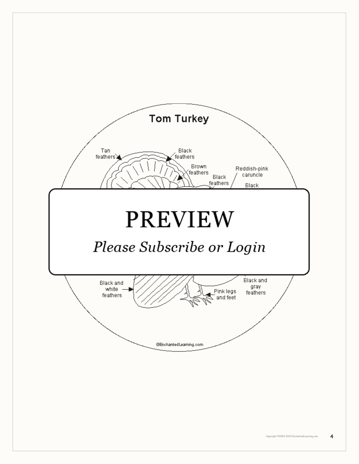 Turkey Shape Book Printouts interactive printout page 4
